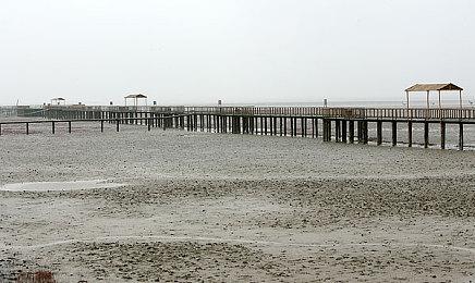 《博德之门3》发布最新热修补丁 修复玩家吐槽全黑浪漫镜头