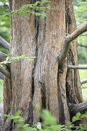 《酒店装修大师》将于3月7日在PC上推出，并于今年晚些时候登陆主机